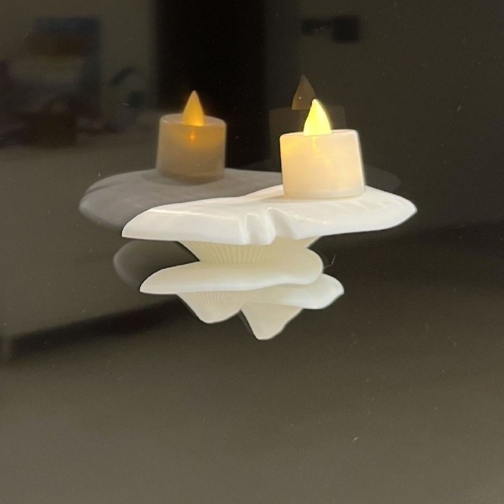 3D-geprint klein paddenstoelen - 3D Printing Desk recensie en prijs