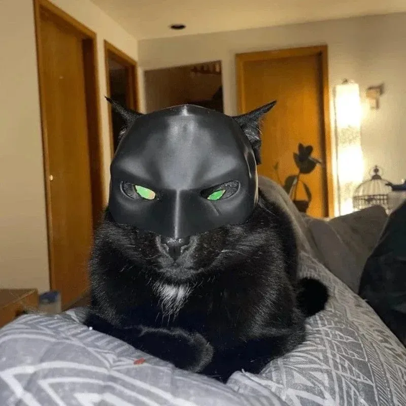 3D-geprinte Cat Avenger Masker - 3D Printing Foto recensie en prijs